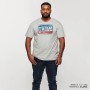 T-SHIRT SIGNE HOMME, GRIS-286289148,00 €